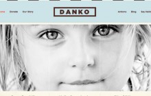 danko-wordpress-themes-2013