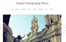 elegant-wordpress-themes-2013