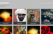 gridphoto-wordpress-themes-2013