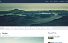 meeta-wordpress-themes-2013