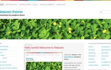 newzeo-wordpress-themes-2013