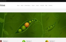 orion-wordpress-themes-2013