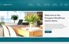 prospect-wordpress-themes-2013