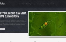 rolex-wordpress-themes-2013