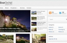 silverorchid-wordpress-themes-2013